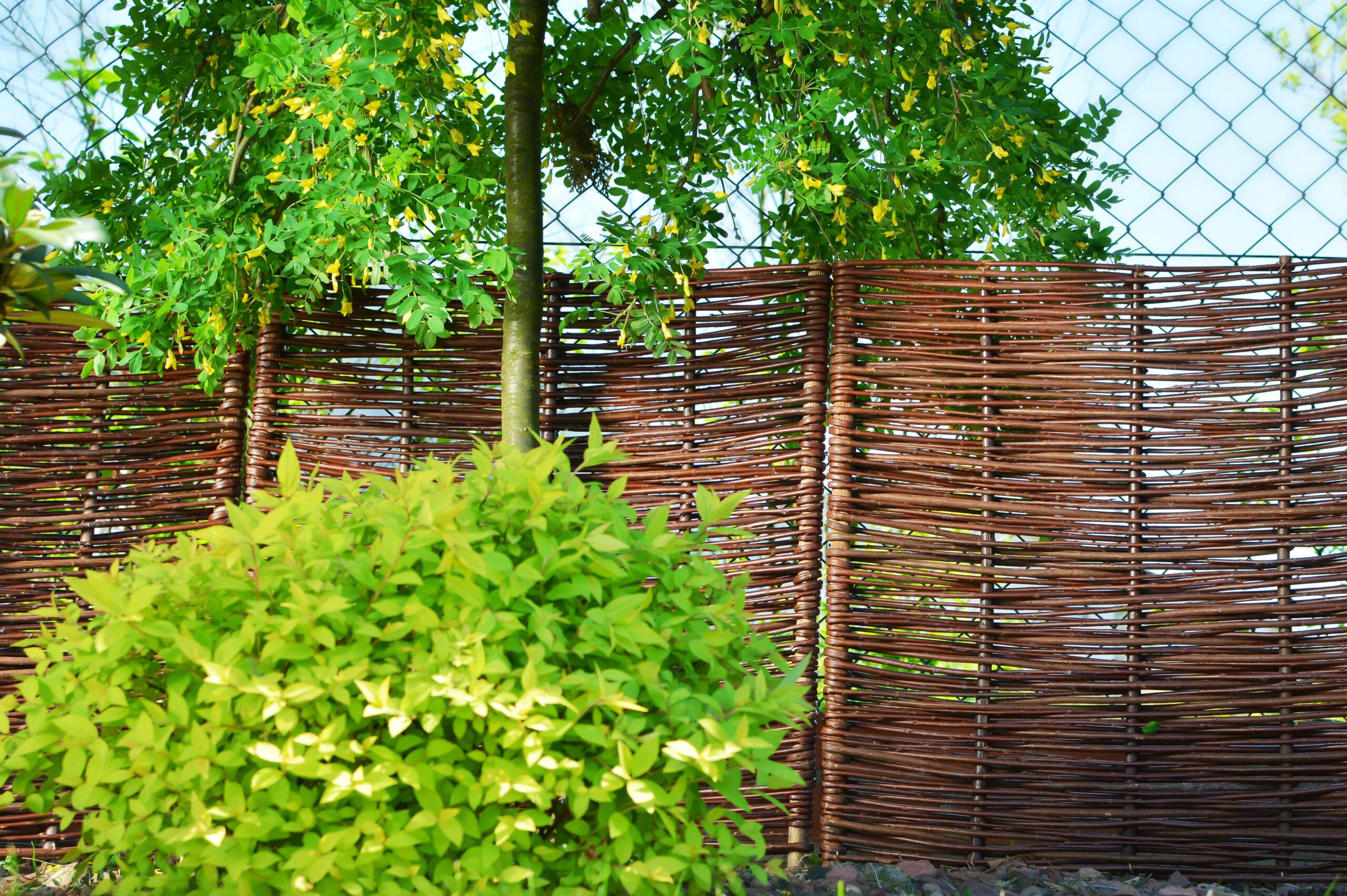 PŁOTY OBRZEŻA WIKLINOWE DO OGRODU OD PRODUCENTA