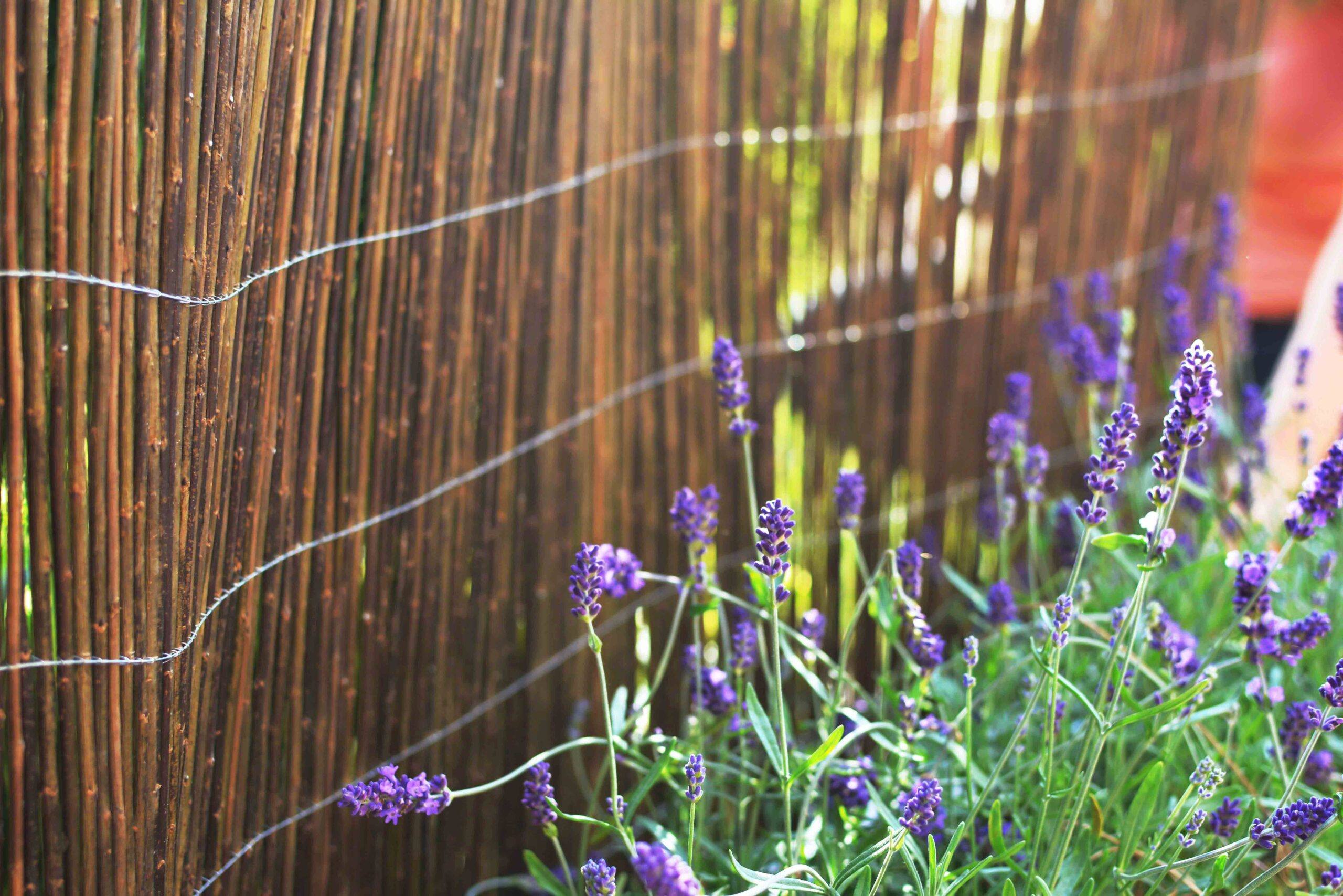 CZYM ZASŁONIĆ BALKON LUB PŁOT ?